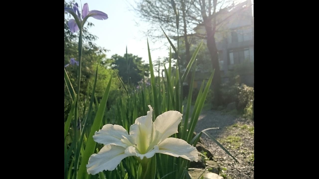 Stone House Homestay Yilan المظهر الخارجي الصورة